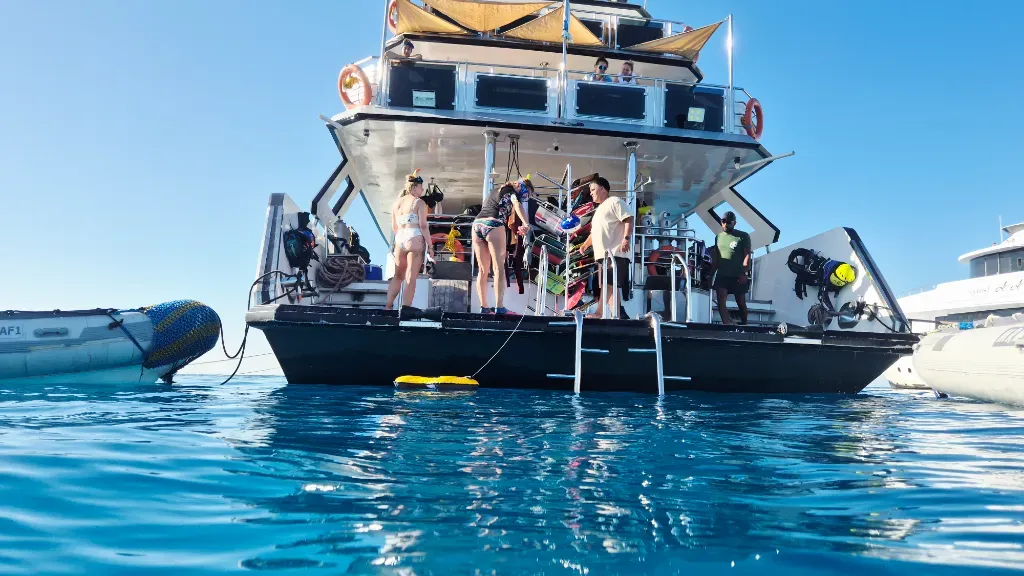 Kite Safari I Love Travels