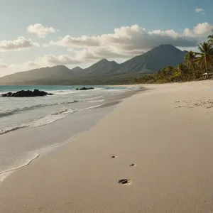 Ile trwa lot do Tunezji z Polski? Informacje o czasie podróży