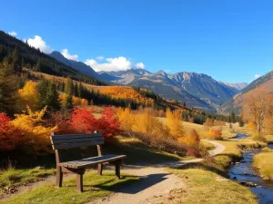 Jakie są zasady gry w bierki?