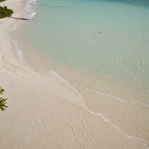 Jakie są zasady gry w baseball?